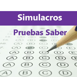 Simulacros Saber 10º Y 11º - Tipo ICFES